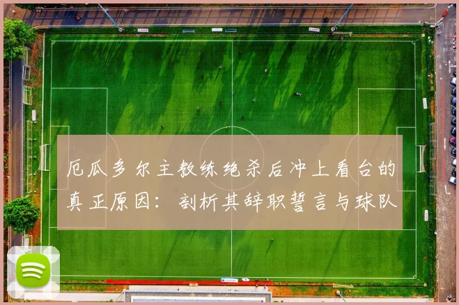 厄瓜多尔主教练绝杀后冲上看台的真正原因：剖析其辞职誓言与球队的2026世界杯之路
